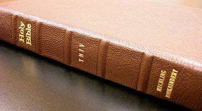 TNIV Bible