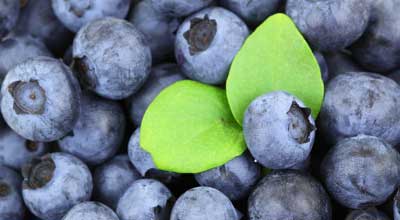 blueberries