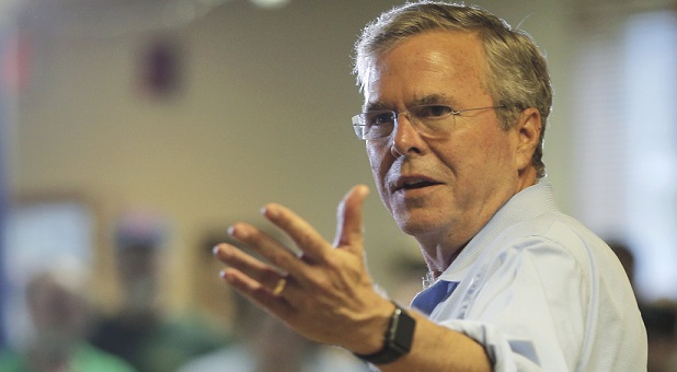 Jeb Bush