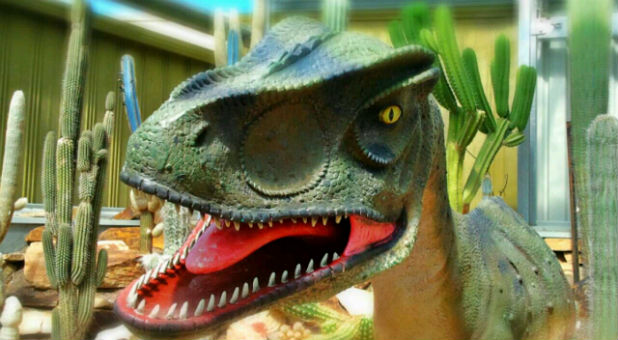 And what about another teenage boy who identified as a dinosaur? Would this prove that dinosaurs are not extinct? And would he have the right to sue all scientists and textbooks for claiming that dinosaurs did not exist?