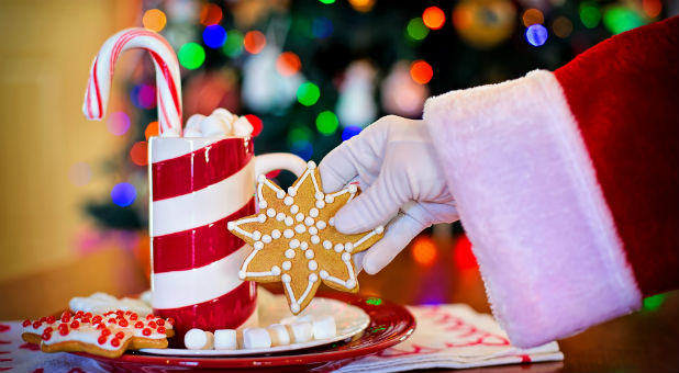 A new book will feature two gay santas.