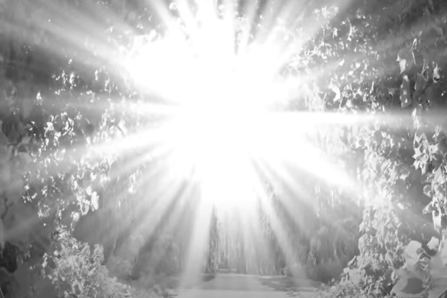 ‘Jesus Himself Came to Me in a Dream’: Spiritual Revolution Unfolding Around the World